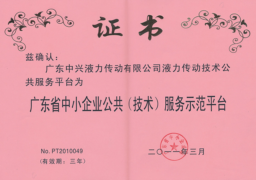 2011年公共(技術)服務示範平台證書